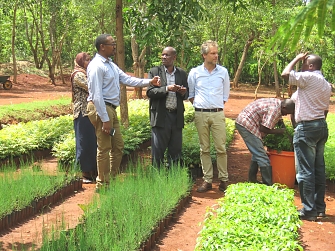 Comprehensive Refugee Response Framework (CRRF) representatives visiting REDESO tree nursery in Mtendeli camp in Kakonko District