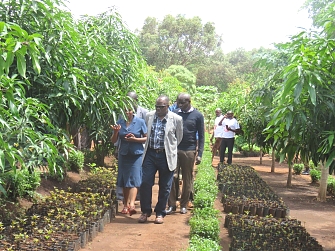 REDESO project coordinator briefing Hon. Brig. Emmanuel Maganga, The Kigoma Regional commissioner prior to launching tree planting Kigoma Regional Commissioner (RC) visiting REDESO tree nursery in Nduta camp (From right at the front, Kigoma RC and REDESO Project coordinator at the left hand side)