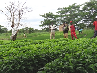 Kakonko District Land and Natural Resources Officer (DLNRO), Mr. Simon Mando on tree nursery established by REDESO monitoring mission.