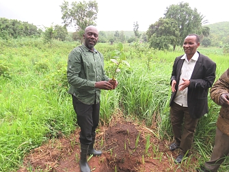 natural Resources Officer Mr. Simon Mando (right) participating during tree planting exercise in kakonko District for the purpose of conserving environment and combat climate change impacts.