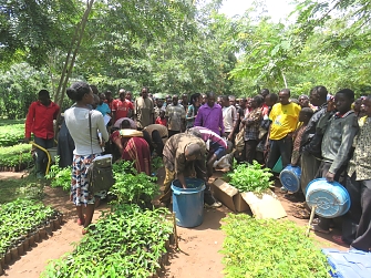 Kakonko residents collecting tree seedlings from one of REDESO's tree nurseries in Kakonko for planting exercise.