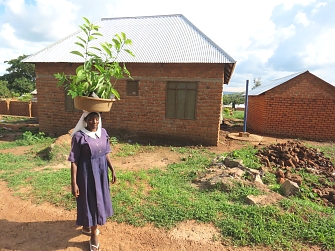 institutions for conserving the environment. In the photo is the Roman catholic sister carrying tree seedlings to be planted at Kakonko Mission.