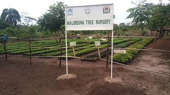 Maloregwa Tree nursery established by REDESO at Nduta camp in Kibondo District