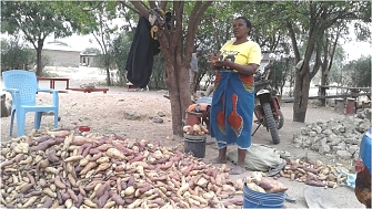 Growing of Fleshed Orange Sweet Potatoes as the drought Tolerant crops to supplement Nutrition food at community