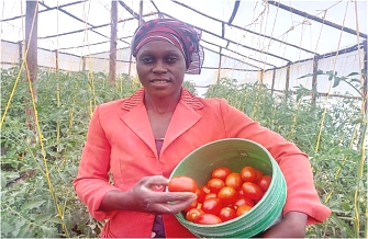 Improved Technology-productivity is High