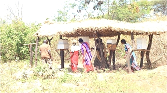 Beekeeping group making investigation if bees have entered in the top beehives