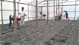 Engaging Women and Youth CBO in entrepreneurship activity especially Agribusiness using a Greenhouse Technology to Respond on Climate change Impacts and to prevent from Pest.