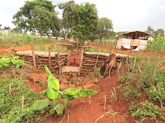 Gabions constructed by REDESO as a soil conservation intervention through rehabilitation of gullies at Mtendeli camp in Kakonko District