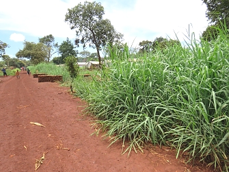 Gabions constructed by REDESO as a soil conservation intervention through rehabilitation of gullies at Mtendeli camp in Kakonko District